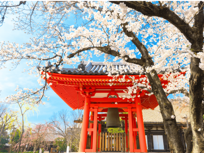 japan-min